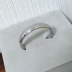 SBG シンプルカラースチールリング 指輪 ステンレス 21号