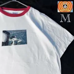 状態◯【ルーニーテューンズ シルベスター 】リンガーTシャツ アメカジ