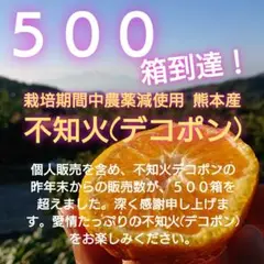 栽培期間中農薬減使用 熊本産 不知火デコポン
