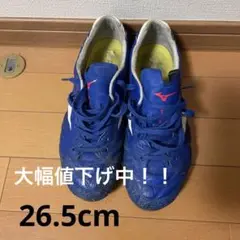 ミズノ モナルシーダネオ