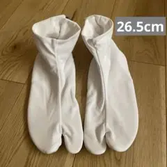 Item thumbnail for item 11c312d9-bd7a-4e1c-a4d4-69d08e3f7a53