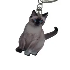 Item thumbnail for item 38358a89-56a9-48dd-bcff-05dfeae20681