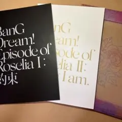 BanG Dream! Episode of Roselia パンフレット 美品