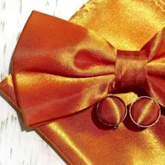 Item thumbnail for item 8ec96ce1-58df-46c1-b806-71dcc04a60cc