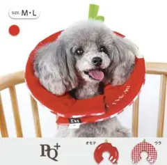 Item thumbnail for item c9b0411a-b8c0-43fd-8cd1-17dd895d20b8