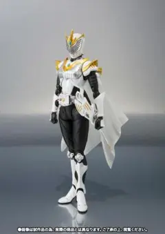 フィギュアーツ 仮面ライダーファム レビュー】 バンダイ 魂ウェブ商店 S.H.Figuarts 仮面ライダー