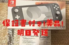 Nintendo Switch Lite グレー 美品