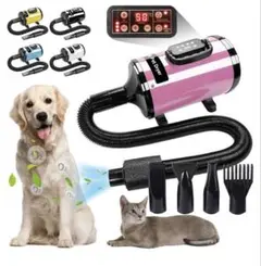 Item thumbnail for item 44c4e0cd-97fb-4294-bcff-6c292df2cad5