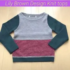 Lily Brown Design Knit tops tunicsweater