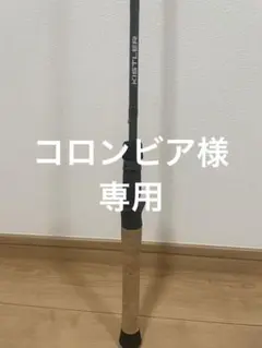 キスラー KLX STS 70LMH スピニング 美品 パワーフィネス 2025年最新】キスラー KLXの人気アイテム - メルカリ