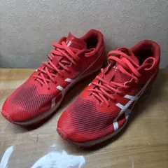 WINDSPRINT 25cm