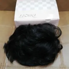 レオンカ ウィッグ カツラ エクステ フォンテーヌ