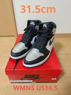 Wmns AirJordan 1 Retro High OG SilverToe