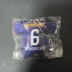 登里享平 セレッソ大阪