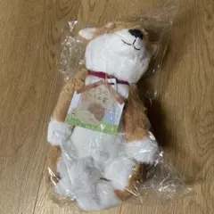 うちのハル君です　芝犬