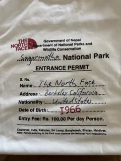 The North Face ノースフェイスTシャツ