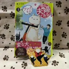 後の夫婦である ワン！モア 3
