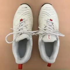 ヨネックス　パワークッションソニケージ3メンAC オールコート用　27cm