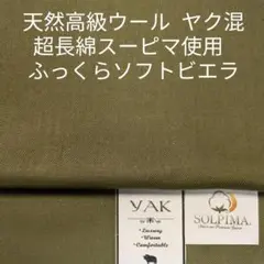 Item thumbnail for item 8f784715-2c58-45a9-8332-4bedbd67ee0f