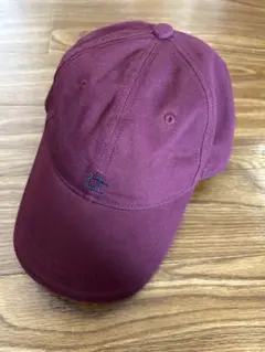 Item thumbnail for item 61f62919-c6ef-4892-9bf5-f5c1cdafb310