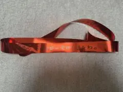 莉犬くん ワンマン 武道館 言ノ葉ワンダーランド 銀テ