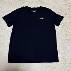 THE NORTH FACE 黒 Tシャツ(メンズM/L 、ウーマンズL/XL)
