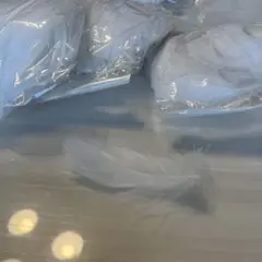 フラワーシャワー用フェザー