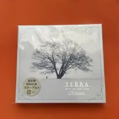 【新品未開封】八神純子　Junko Yamami TERRA