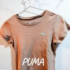 『美品』♡PUMA ブラウン 半袖Tシャツ