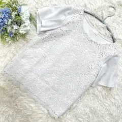 Item thumbnail for item 5bf06ee4-8dcd-4606-9a06-47dcb0286851