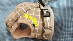 Item thumbnail for item af6c3197-0998-4db9-9e87-c4af8b44bc52