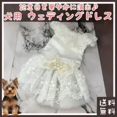 Item thumbnail for item d3d8ff4d-480c-4fed-8365-fe66b2062313