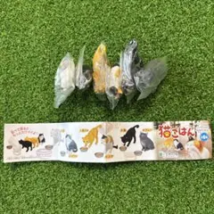 猫ごはん 6種 コンプリート