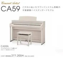 2025年最新】kawai ca59の人気アイテム - メルカリ