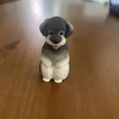 まてぼうけ　犬　ガチャガチャ　シュナウザー