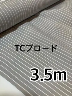 Item thumbnail for item db3c3479-74c7-41a3-b0a5-646a6402deef