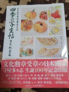 守屋 多々志、ピンチオの丘（ローマ）、希少な額装用画集より、美品、新品額装付 守屋 多々志、ピンチオの丘（ローマ）、希少な額装用画集より