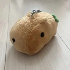 カピバラさん　パスケース　定期入れ