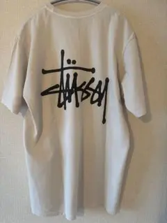 STUSSY ステューシー BASIC STUSSY PIG DYEＤTEE M