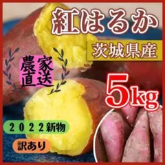 旨い 5kg さつまいも 紅はるか 茨城県産 訳あり品 産地直送