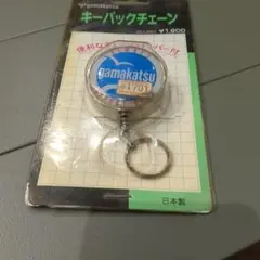 Item thumbnail for item ac670e2e-fce3-4d99-aa4f-c26b4682c375