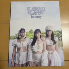 KAWAII LAB. honey（vol.1）