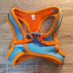 Item thumbnail for item d4e64357-e305-47f3-999d-e8261b84aa20