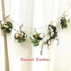 ユーカリ　ポポラス　natural ガーランド♪