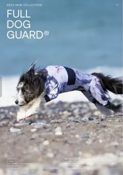 Item thumbnail for item a1b870cc-707a-4fe8-a9df-a2eb16197008