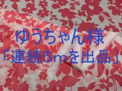 「連続５ｍを出品」