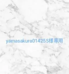 Item thumbnail for item 5777cb85-a00f-49d0-bceb-8e2f91c52adc