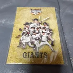 ジャイアンツ2019セリーグ優勝記念ポストカード11種