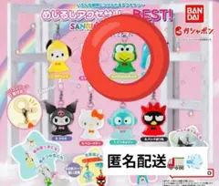 サンリオ キャラクターズ めじるしアクセサリー BEST! けろけろけろっぴ　⑤