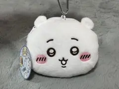Item thumbnail for item 6e4351cb-6ae6-475c-9f8a-e4475ccec9c0